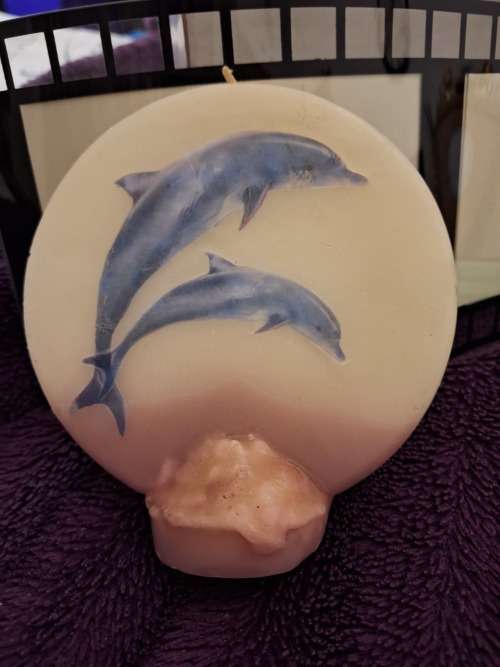 Candles Dolphins  Nice Design