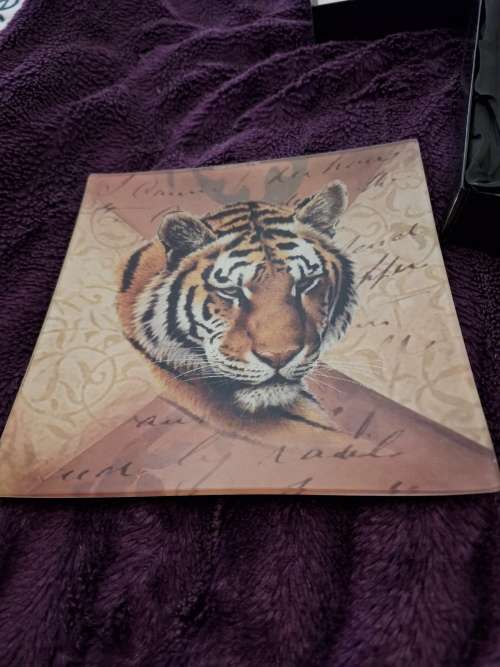 Decorative Dish Tiger Print