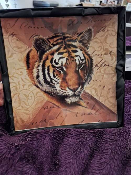 Decorative Dish Tiger Print