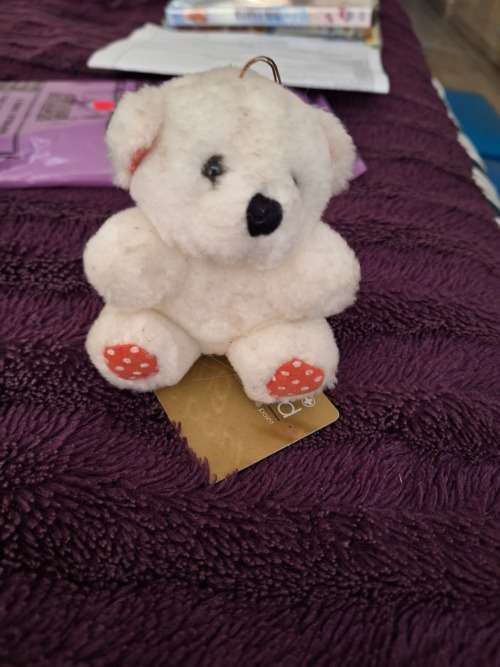 Teddy cute bear Cute Little Teddy