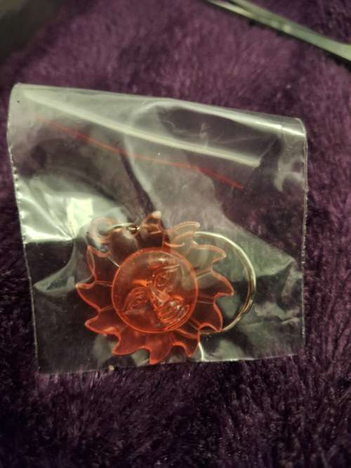 Key ring key holder sun