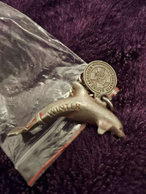 DOLPHINS Keychain Dolphin COLLECTORS KEY RINGS