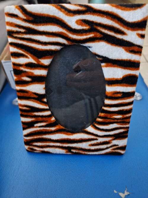 Photo Frame Animal Prints