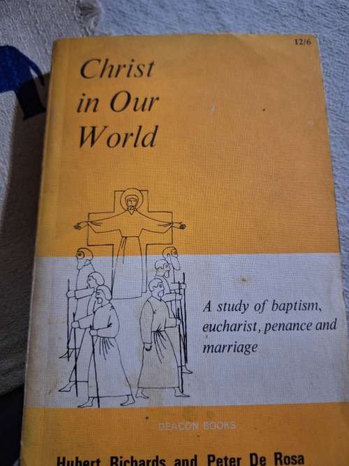 CATHOLIC BOOKS READING Christ in Our World book