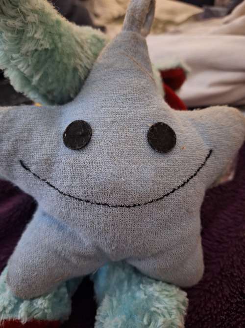 Toys And Hobbies Teddy Star fish