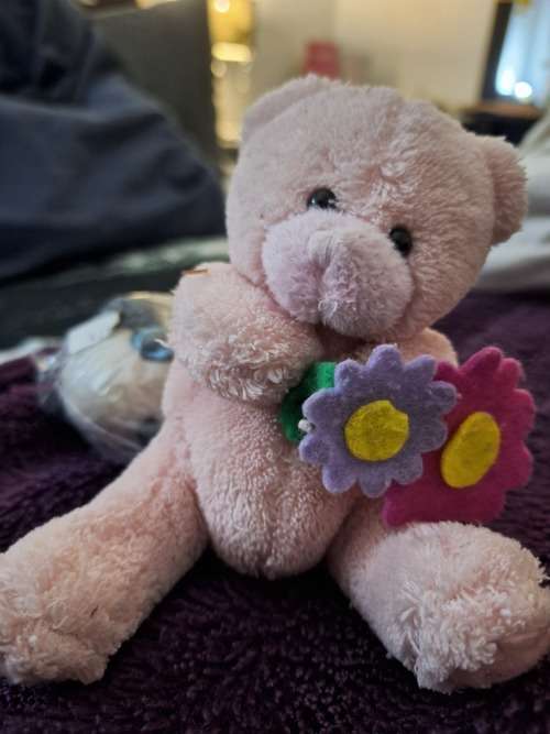 Toys and Hobbies Teddy pink bear