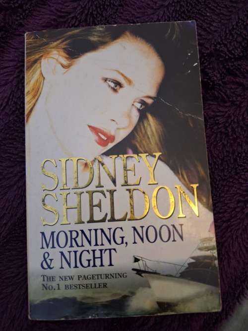 Books Sidney Sheldon Morning Noon And Night