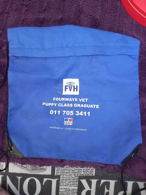 Bags String bag with Zip blue