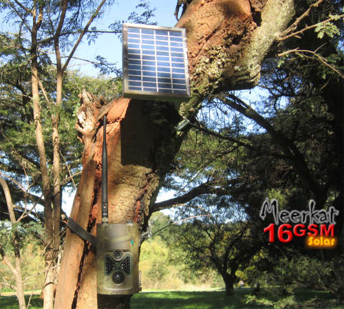 Trail camera bundle - 16 Megapixel, GSM enabled with solar panel