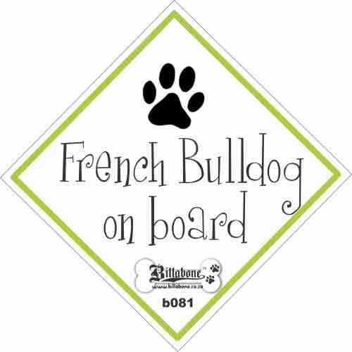 French Bulldog on Board