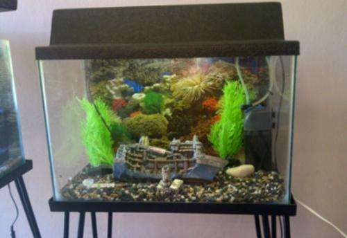 30 litre Complete Tropical Fish Tank