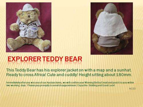 Explorer Teddy Bear
