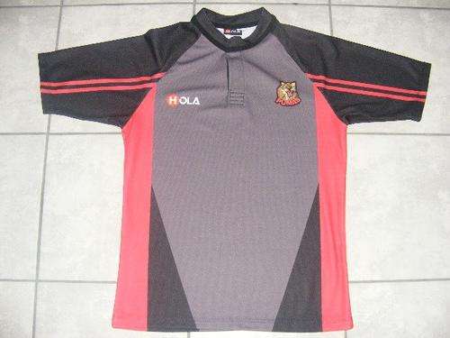 Mpumalanga Pumas rugby jersey