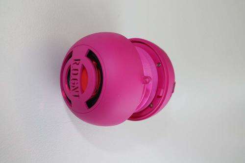 R.O.GNT FM Radio Capsule Speaker - Pink