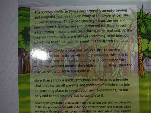 The Survival Guide to Parenthood Through the Eyes of a Single Mother - Beverley Milun