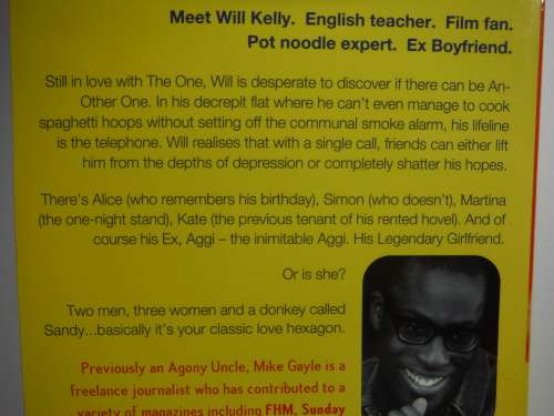 My Legendary Girlfriend and Mr Commitment - Mike Gayle