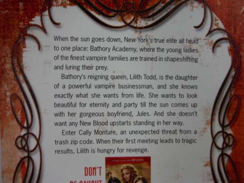 Gothic Book Bundle : Vampire Academy - Vamps - Gothic Charm School