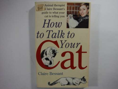How to Talk to Your Cat - Paperback - Claire Bessant