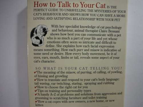How to Talk to Your Cat - Paperback - Claire Bessant