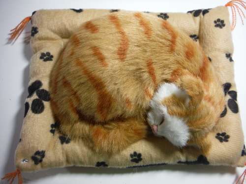Lifelike Kitten Sleeping on a Cushion