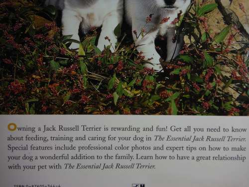 The Essential Jack Russell Terrier - Softcover - Ian Dunbar