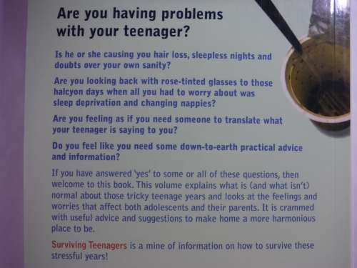 Surviving Teenagers - Paperback - Dr David Fong