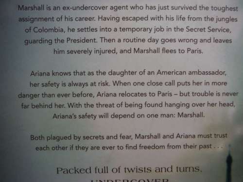 Undercover - Paperback - Danielle Steel