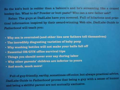DadLabs : Guide to Fatherhood : Pregnancy and Year One - Softcover