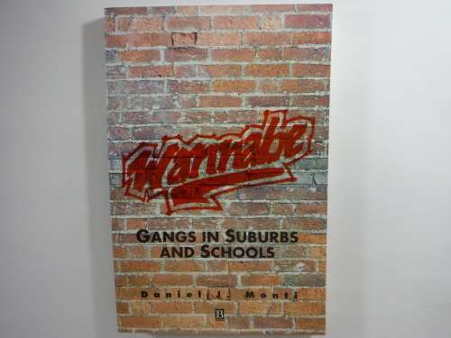 Wannabe : Gangs in Suburbs and Schools - Paperback - Daniel J.Monti