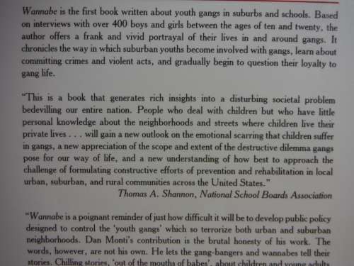 Wannabe : Gangs in Suburbs and Schools - Paperback - Daniel J.Monti