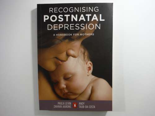 Recognising Postnatal Depression : A Handbook for Mothers - Paperback - Paula Levin