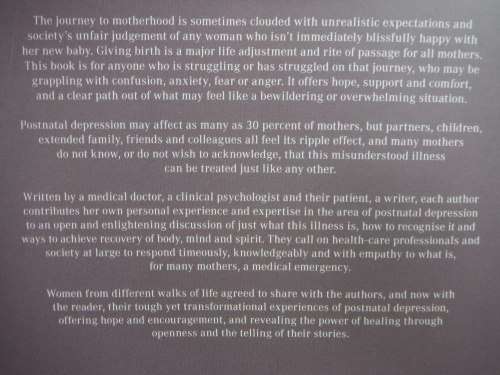 Recognising Postnatal Depression : A Handbook for Mothers - Paperback - Paula Levin