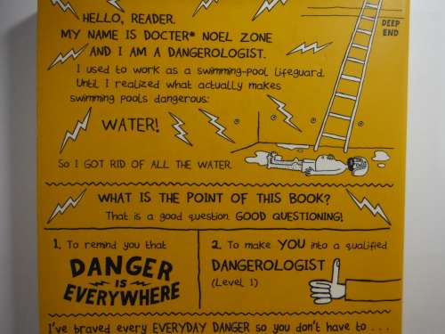 Danger is Everywhere - Paperback - Doctor Noel Zone