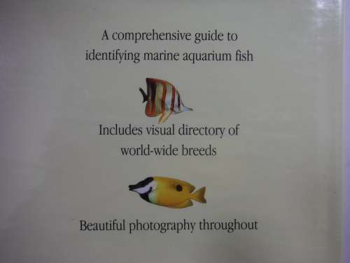 Marine Aquarium Fish : A Pocket Companion - Hardcover