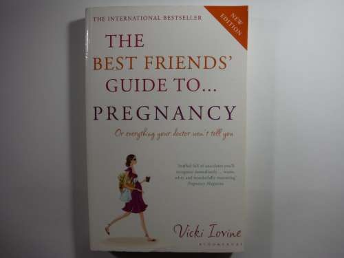 The Best Friends` Guide to Pregnancy - Vicki Iovine - New Edition
