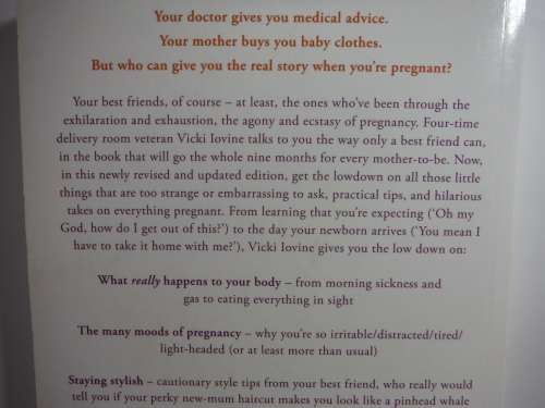 The Best Friends` Guide to Pregnancy - Vicki Iovine - New Edition