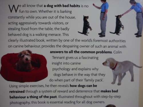 Breaking Bad Habits in Dogs - Colin Tennant