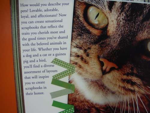 Scrapbooking Your Pets - Softcover - Stacey Panassidi
