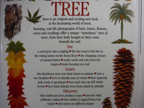 Eyewitness Guides : Tree