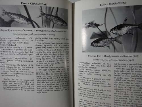 Handbook of Tropical Aquarium Fishes - Dr Herbert R Axelrod and  Dr Leanard P Schultz