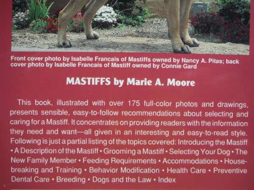 Mastiffs - Paperback - Marie A. Moore