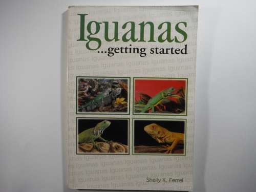 Iguanas...Getting Started - Shelly K. Ferrel