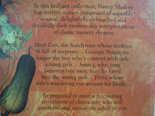 Enchanted Again : Erotic Bedtime Stories for Women - Nancy Madore
