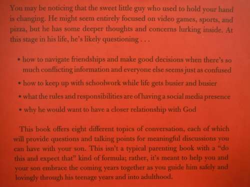 He`s Almost a Teenager - Paperback - Peter and Heather Larson