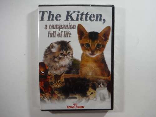 The Kitten : A Companion Full of Life - Royal Canin DVD