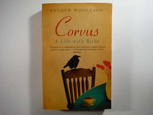 Corvus : A Life with Birds - Paperback - Esther Woolfson