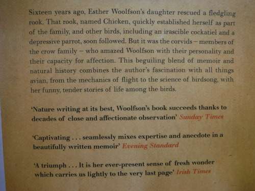Corvus : A Life with Birds - Paperback - Esther Woolfson