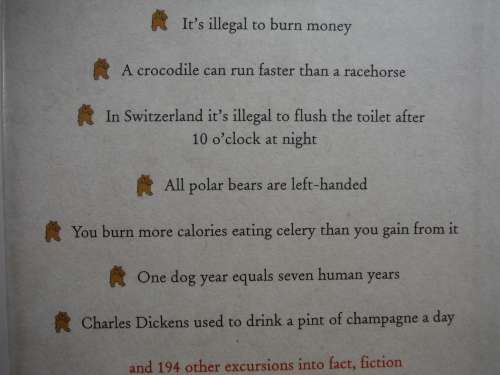 Bears Can`t Run Downhill - Robert Anwood