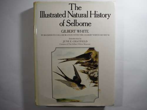 The Illustrated Natural History of Selborne - Hardcover - Gilbert White