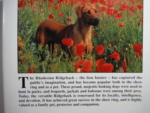 The Complete Rhodesian Ridgeback - Peter Nicholson